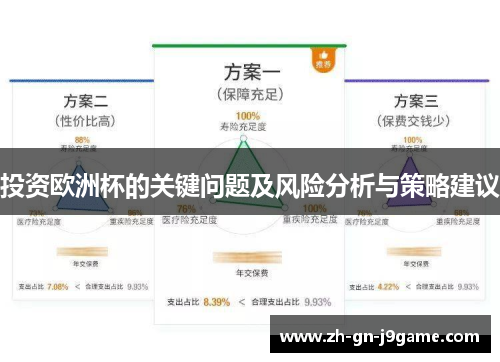 投资欧洲杯的关键问题及风险分析与策略建议 投资欧洲杯的关键问题及风险分析与策略建议