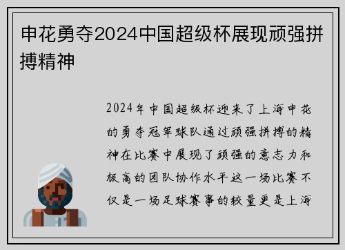 申花勇夺2024中国超级杯展现顽强拼搏精神 申花勇夺2024中国超级杯展现顽强拼搏精神