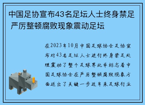 中国足协宣布43名足坛人士终身禁足 严厉整顿腐败现象震动足坛